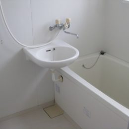 (その他) (その他)